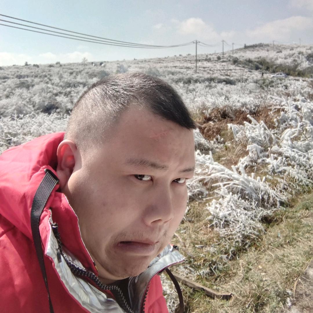蜂子韦玉福
