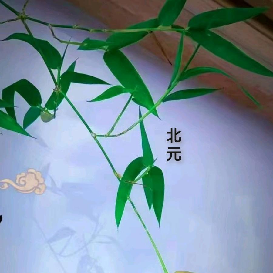 北元好物