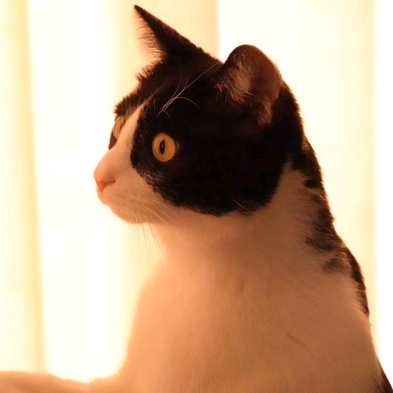 沐亦