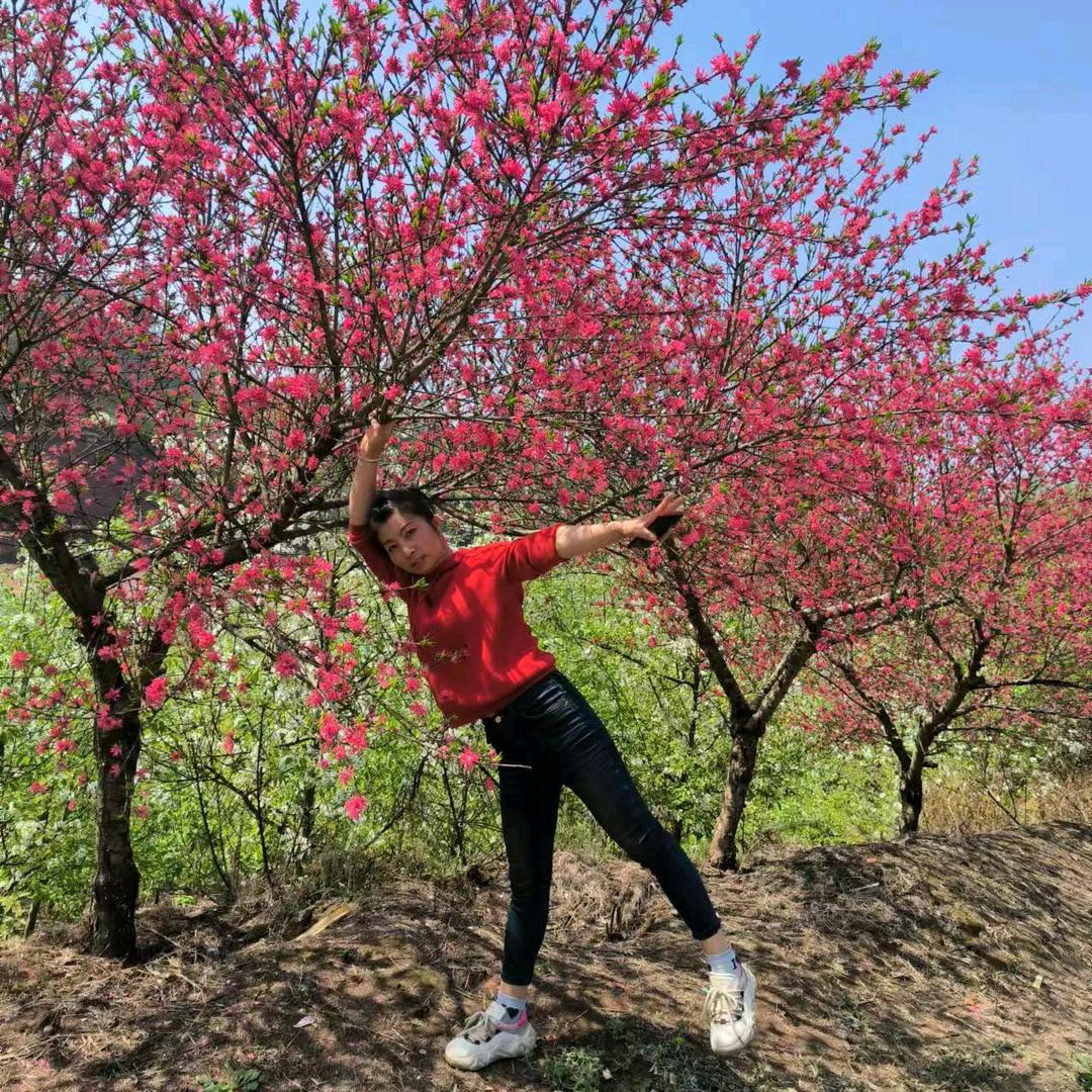 梦醒十分(78年🐴）