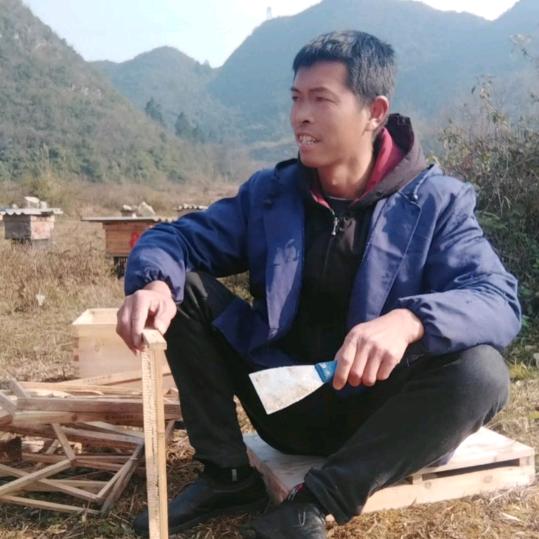 老海寻蜂   中蜂养殖