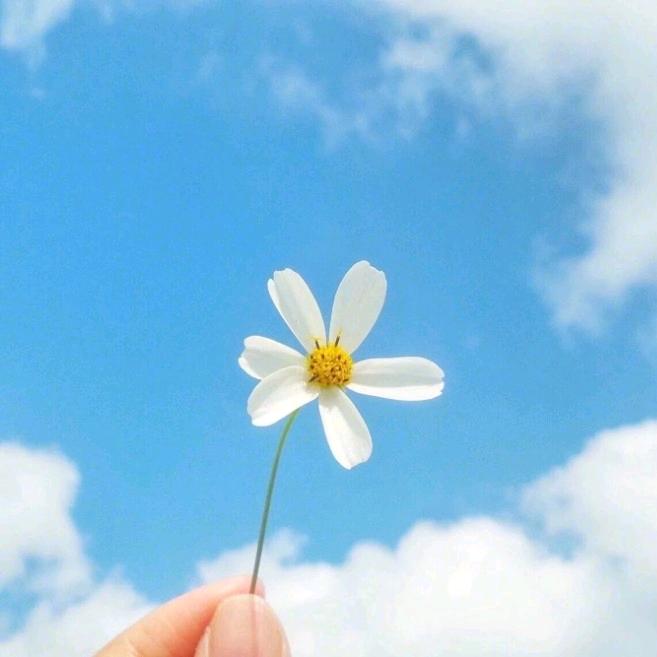 刘晓晓🍀🌻
