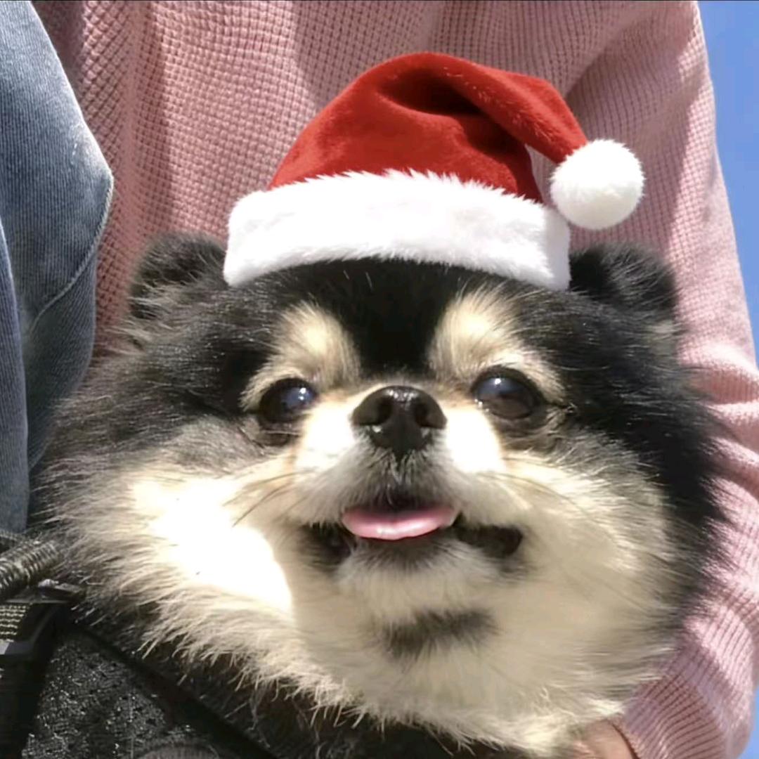 奕鳴✨️