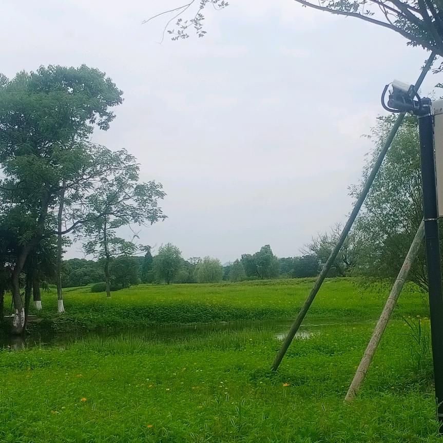 涛涛