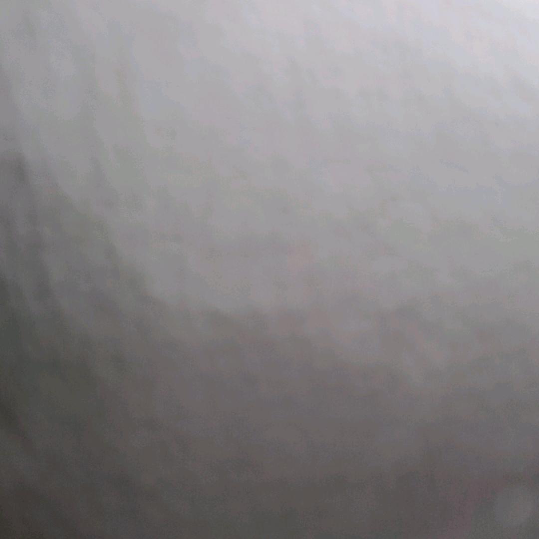 鱼鱼