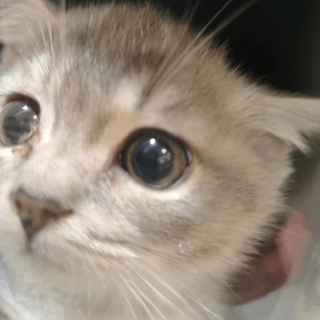 火热小鬼