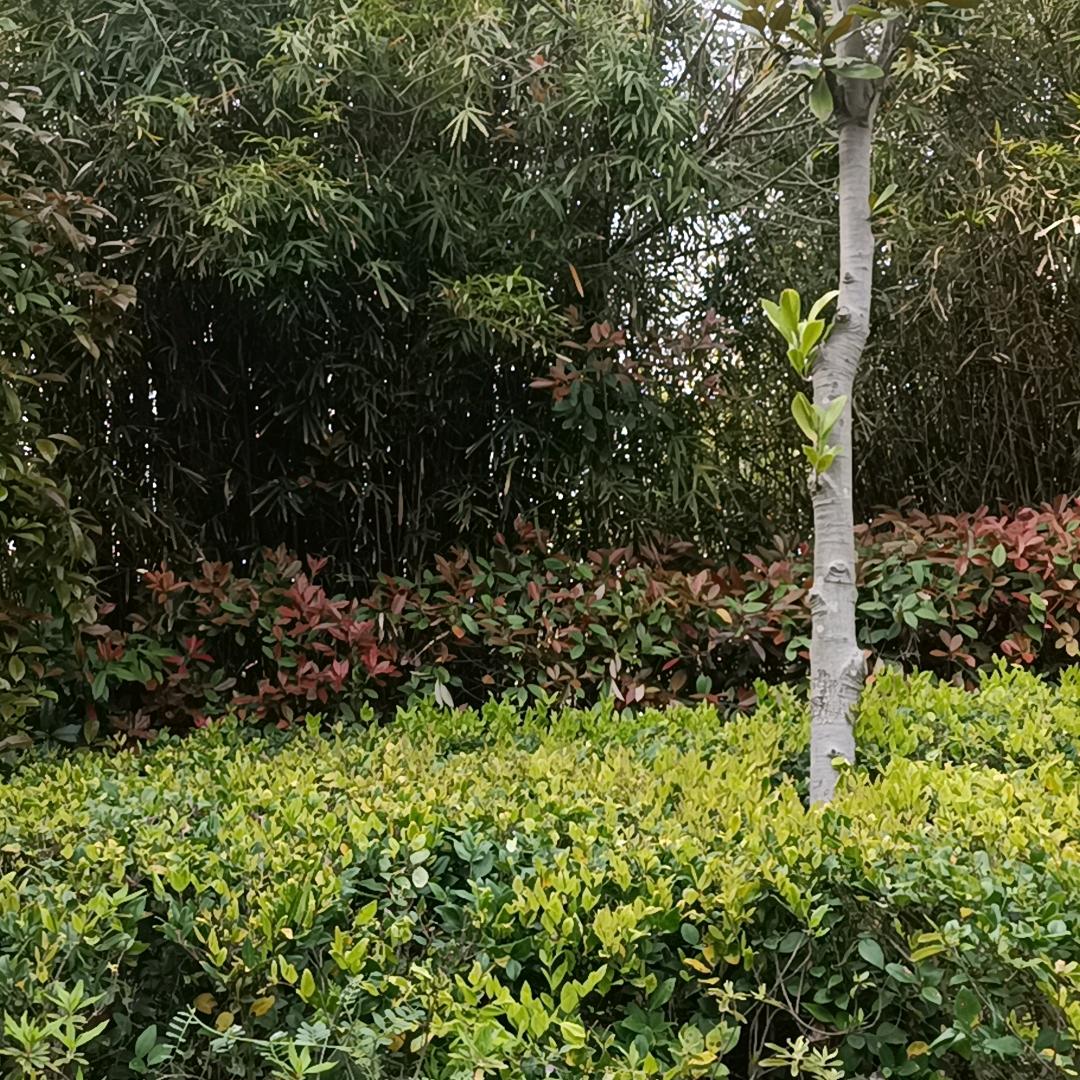 🤔ლ(́◉◞逍౪◟遥◉‵ლ)