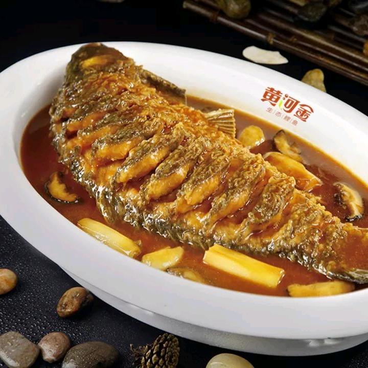 酥骨黄河大鲤鱼-真真
