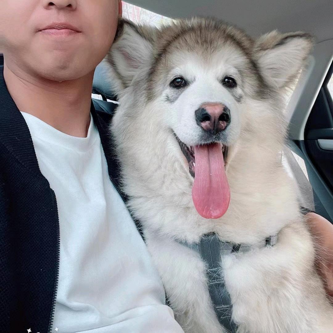 随安。