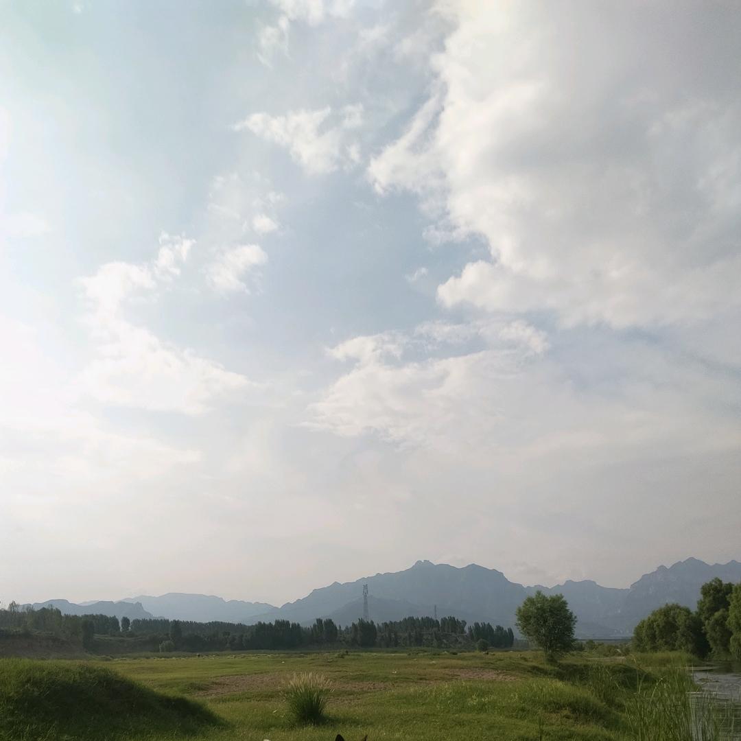 济源李哥