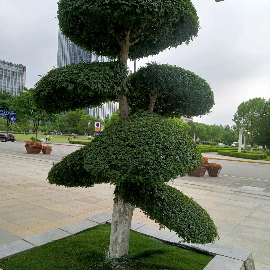 万水千山总是情