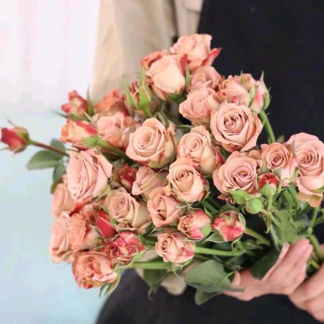 花花公主👑🌸