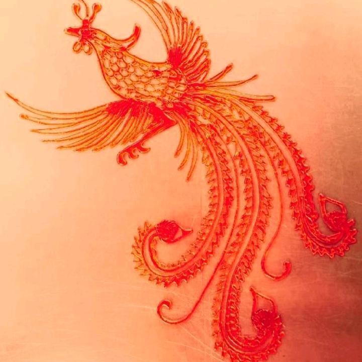 春暖花开🌺🌺🌺