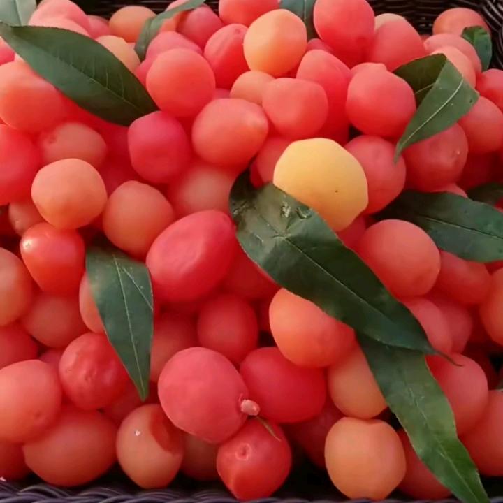 诗诗姐