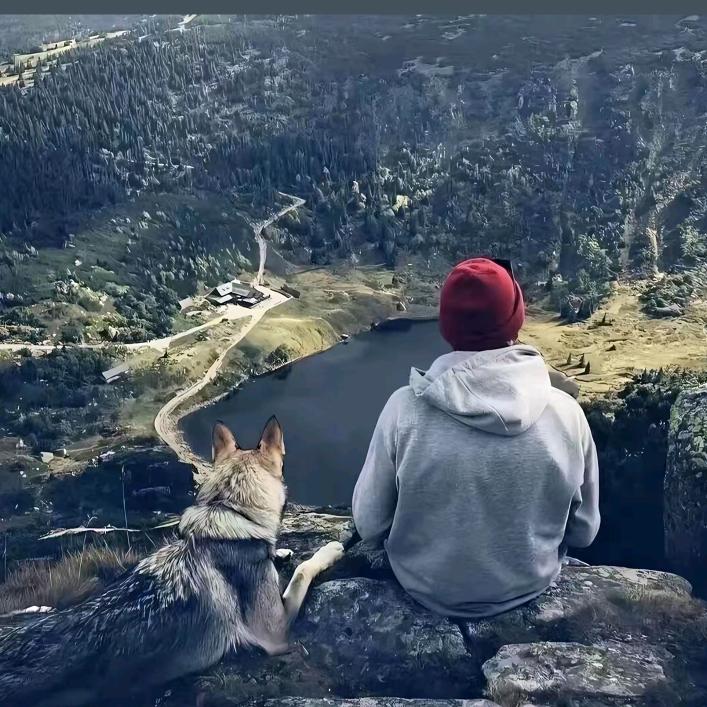 番茄炒蛋不加蛋