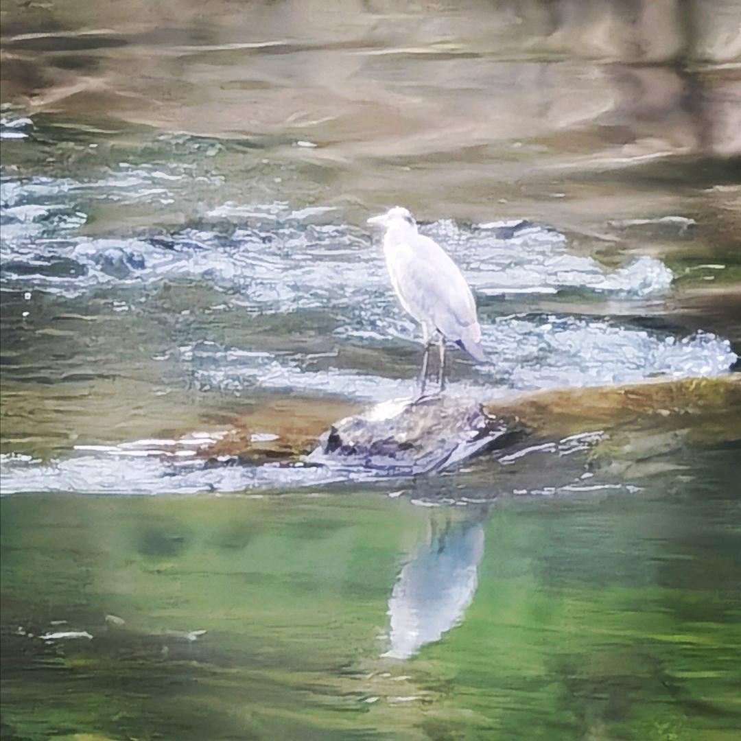 多看看绿色植物