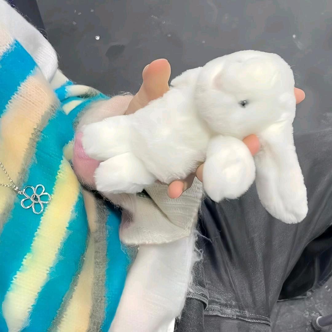 뽀돌이