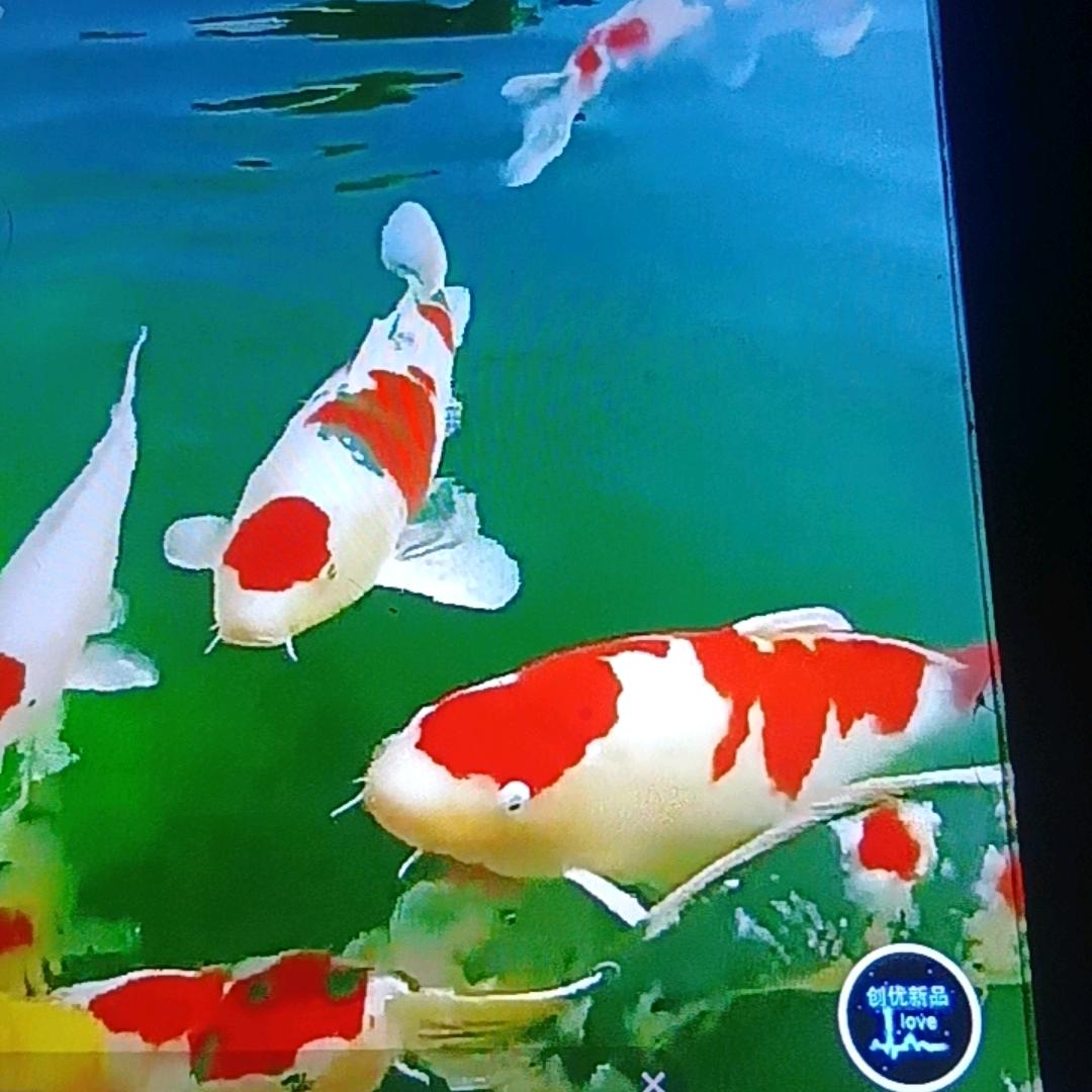 张现