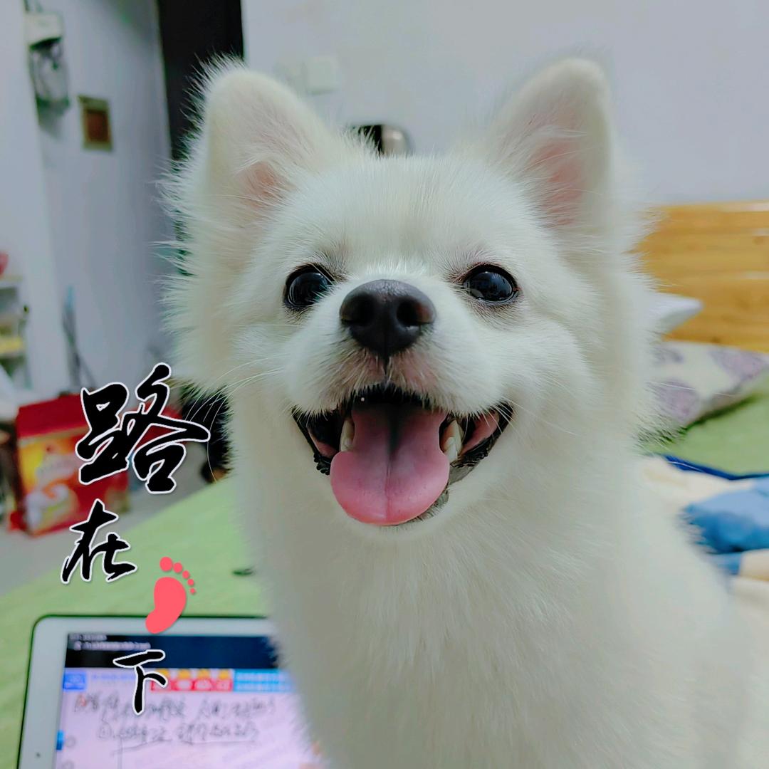 小小贝