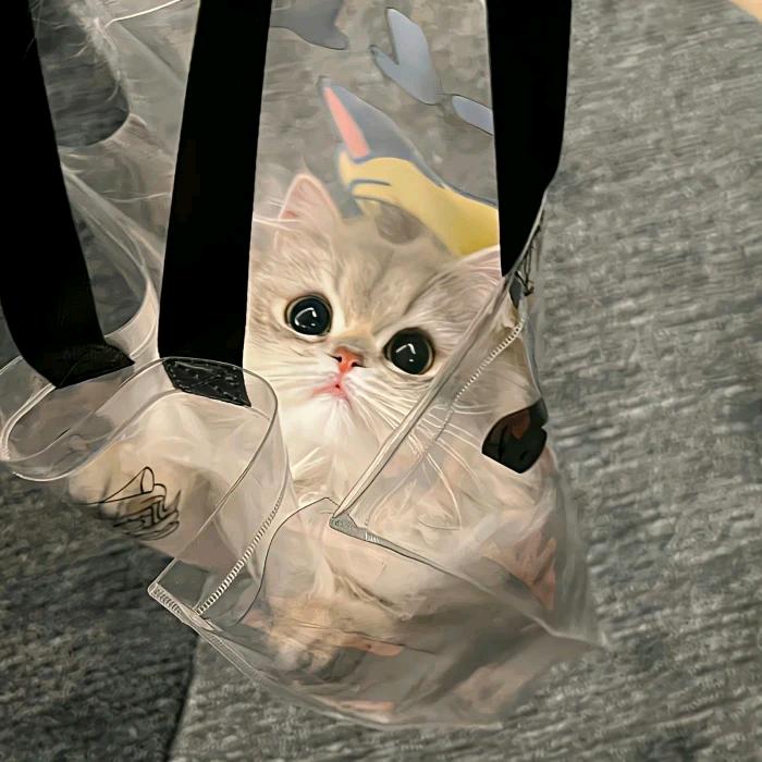 钱钱快来٩(￥A￥)۶
