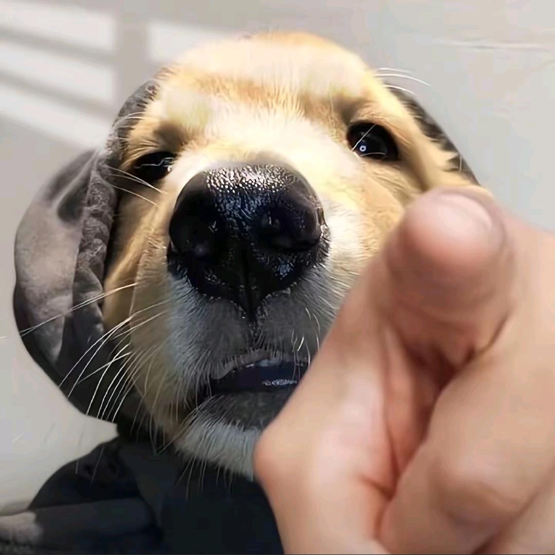 小来