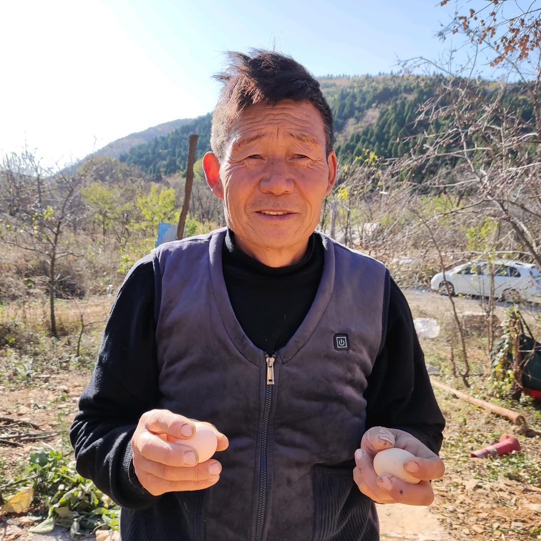 老陈哥的鸡