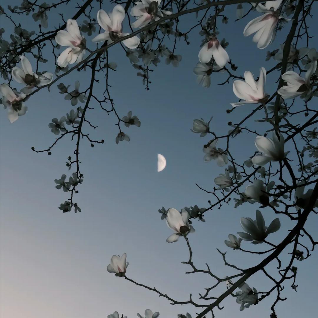 平安是福