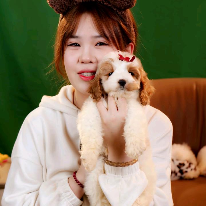 可卡布美美