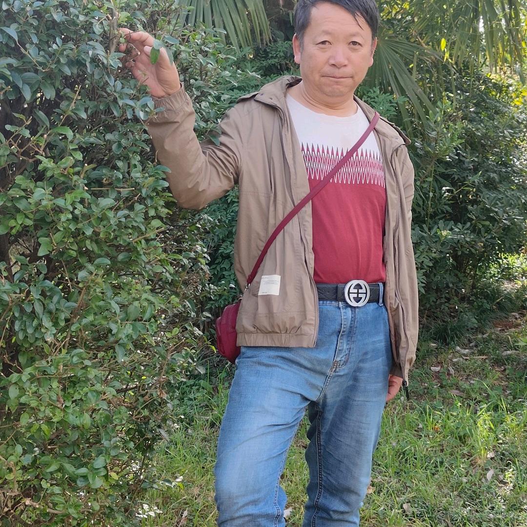 屿葵