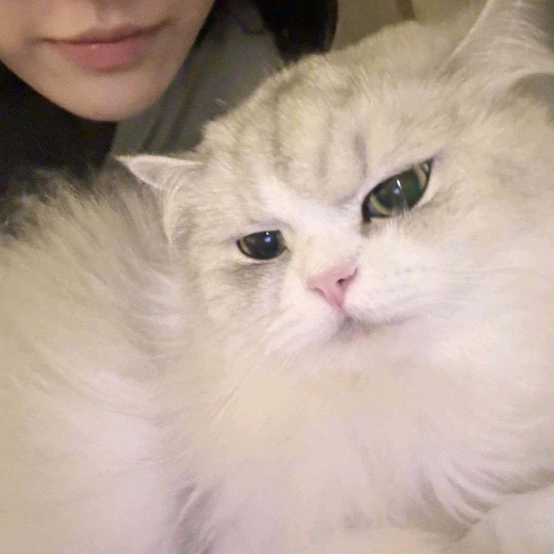 想睡小觉