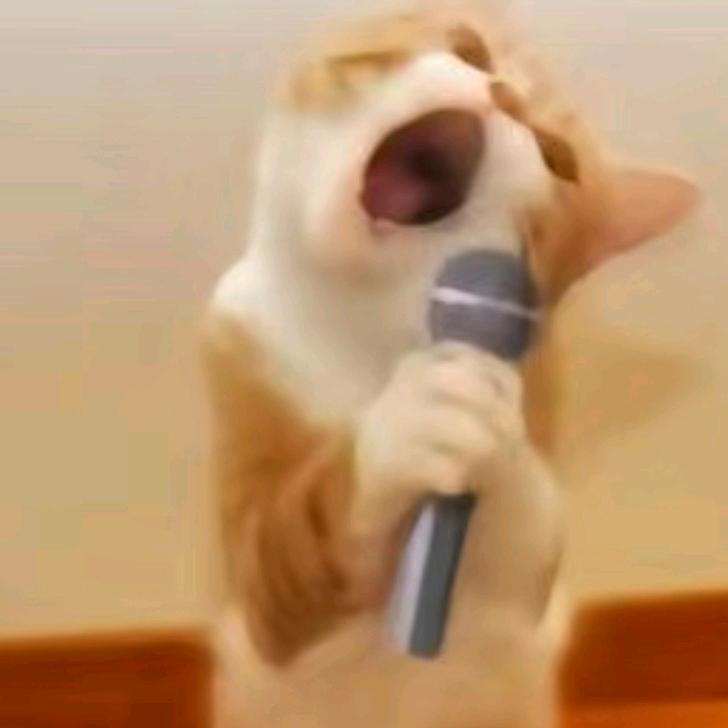 之一