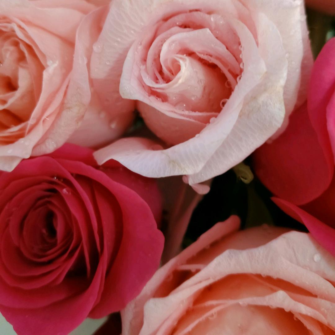 天宇平安（不定时开播）