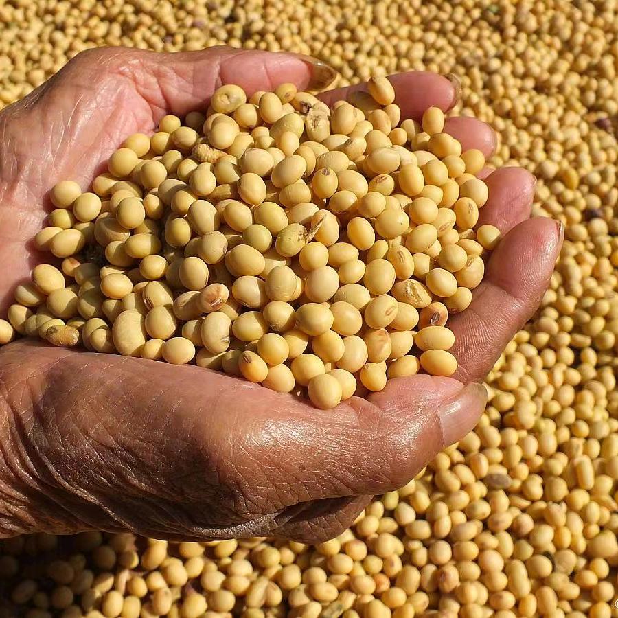 山东宏升  王长亮