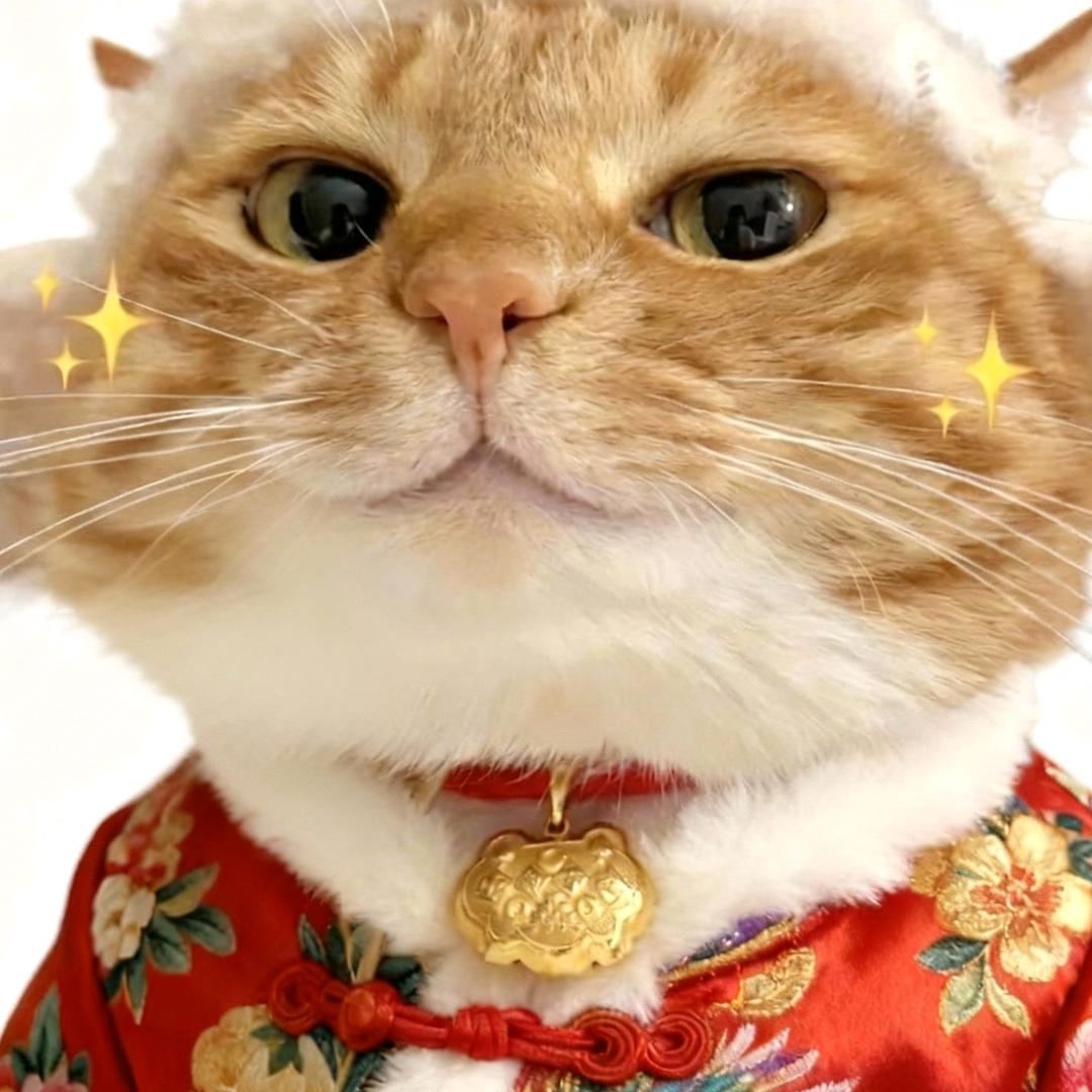 松糕奶盖～