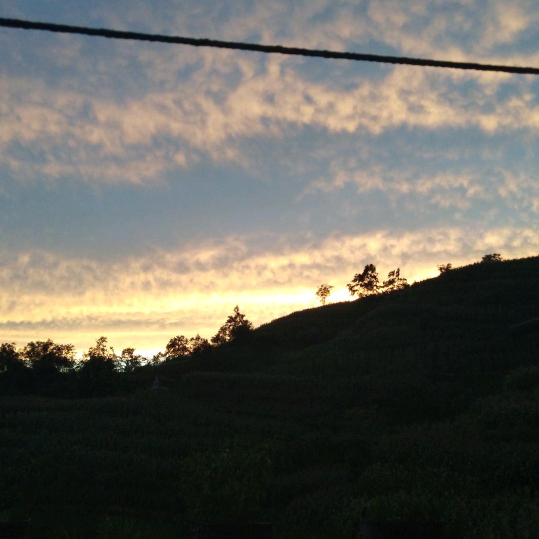 清酒煮梦 (o˘д˘)o