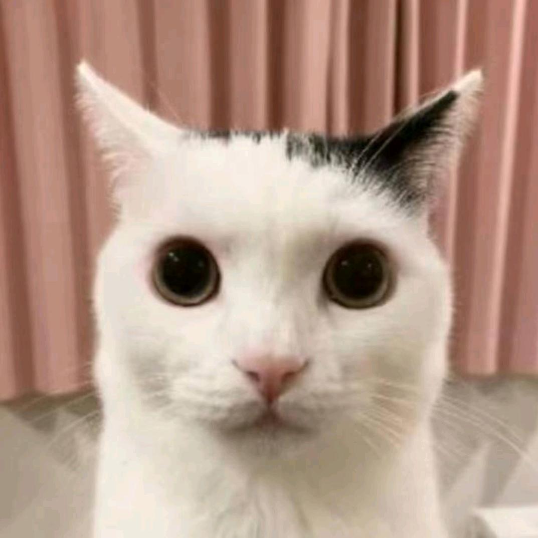 三天打鱼两天晒网