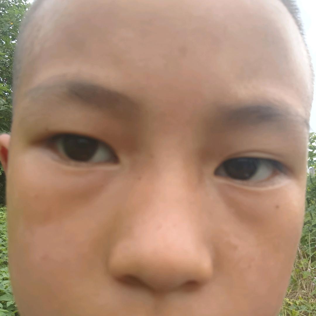 用户2432441175918