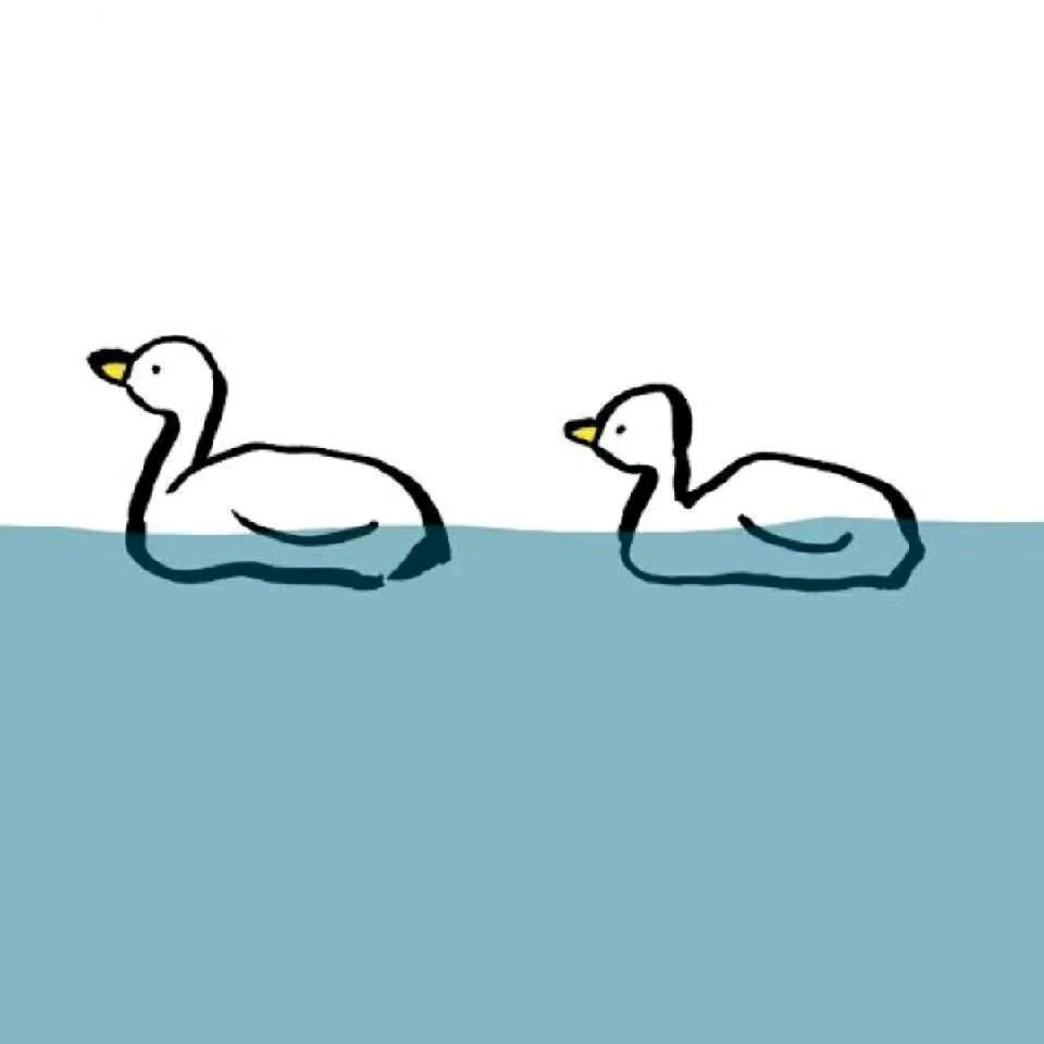 贵州求实检测技术有限公司