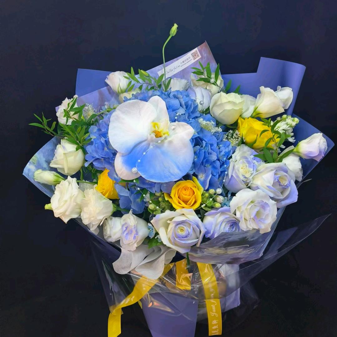 小戴花鱼轩小戴