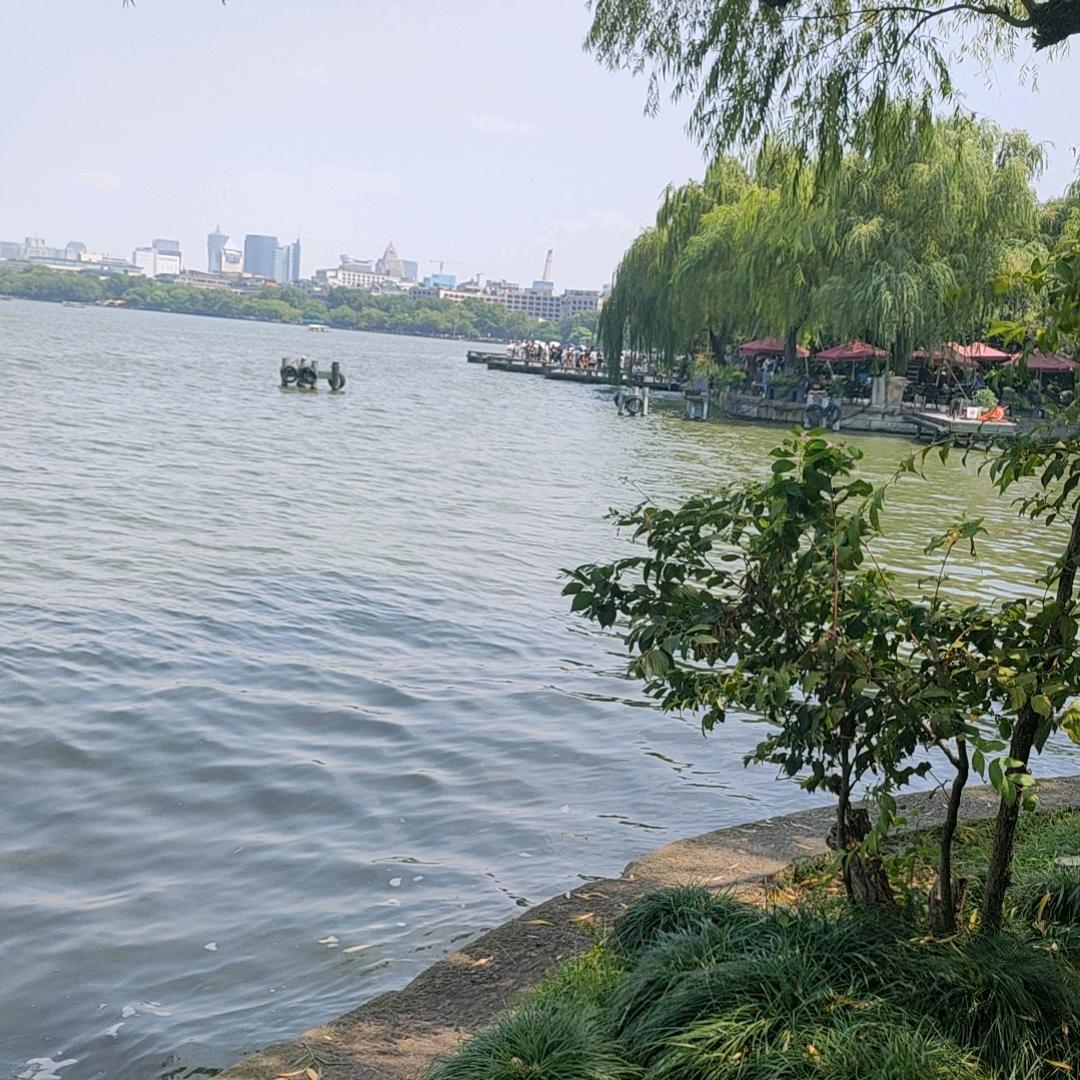 @阳光总在风雨后