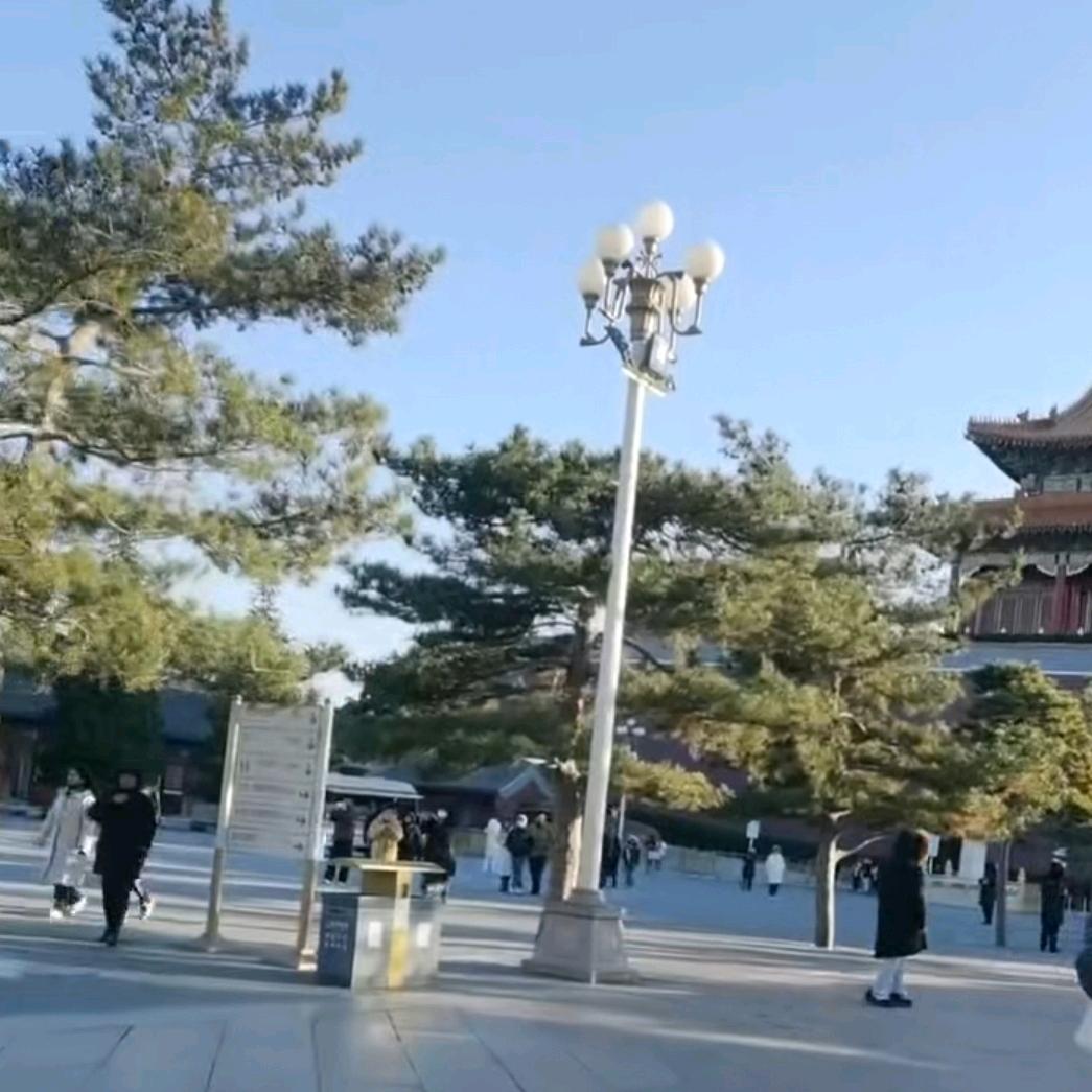 冬阳☀️☀️