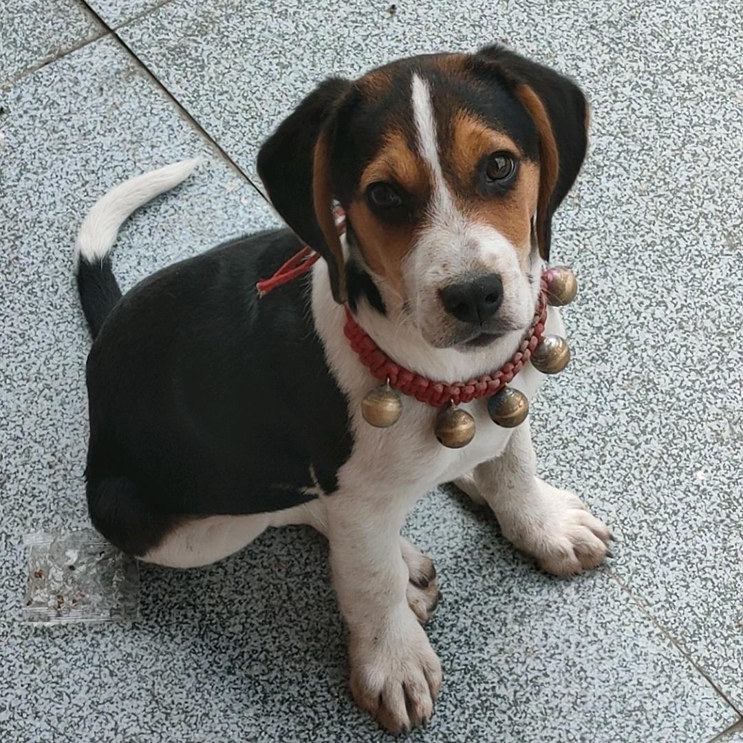 💞᭄糖豆🕊ꦿᮨ້໌࿐