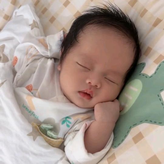 柏柏吖