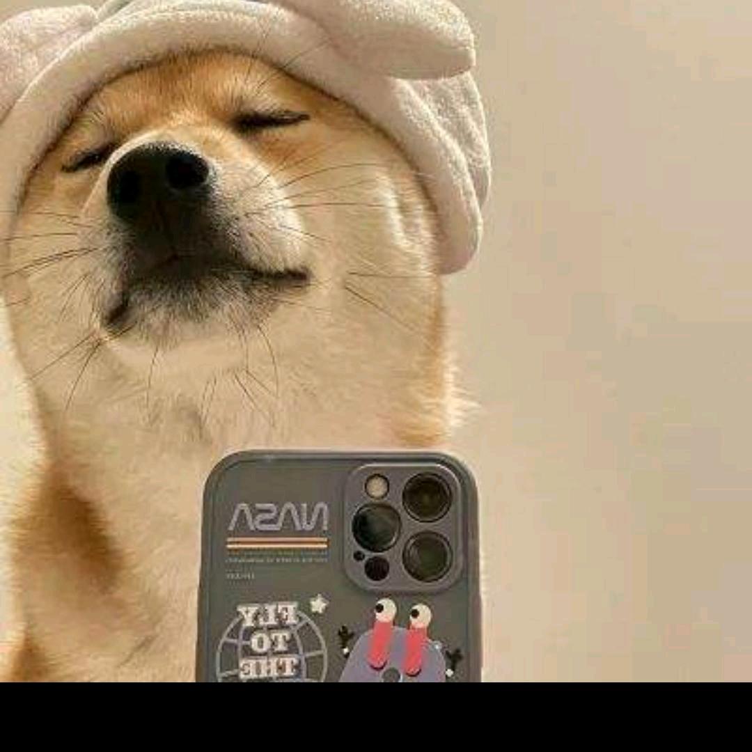 叼着奶瓶找阿星