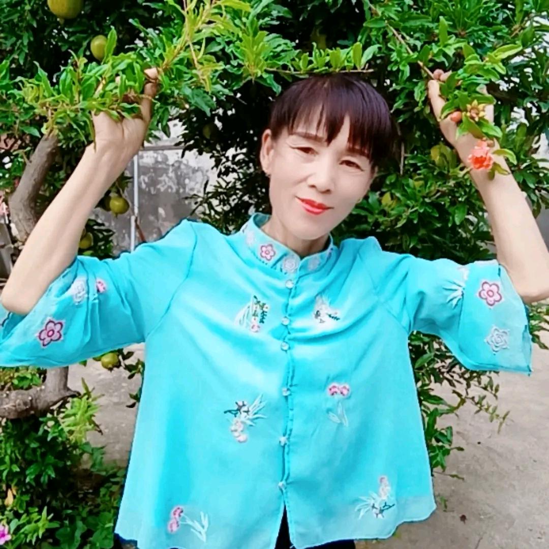快乐开心果536