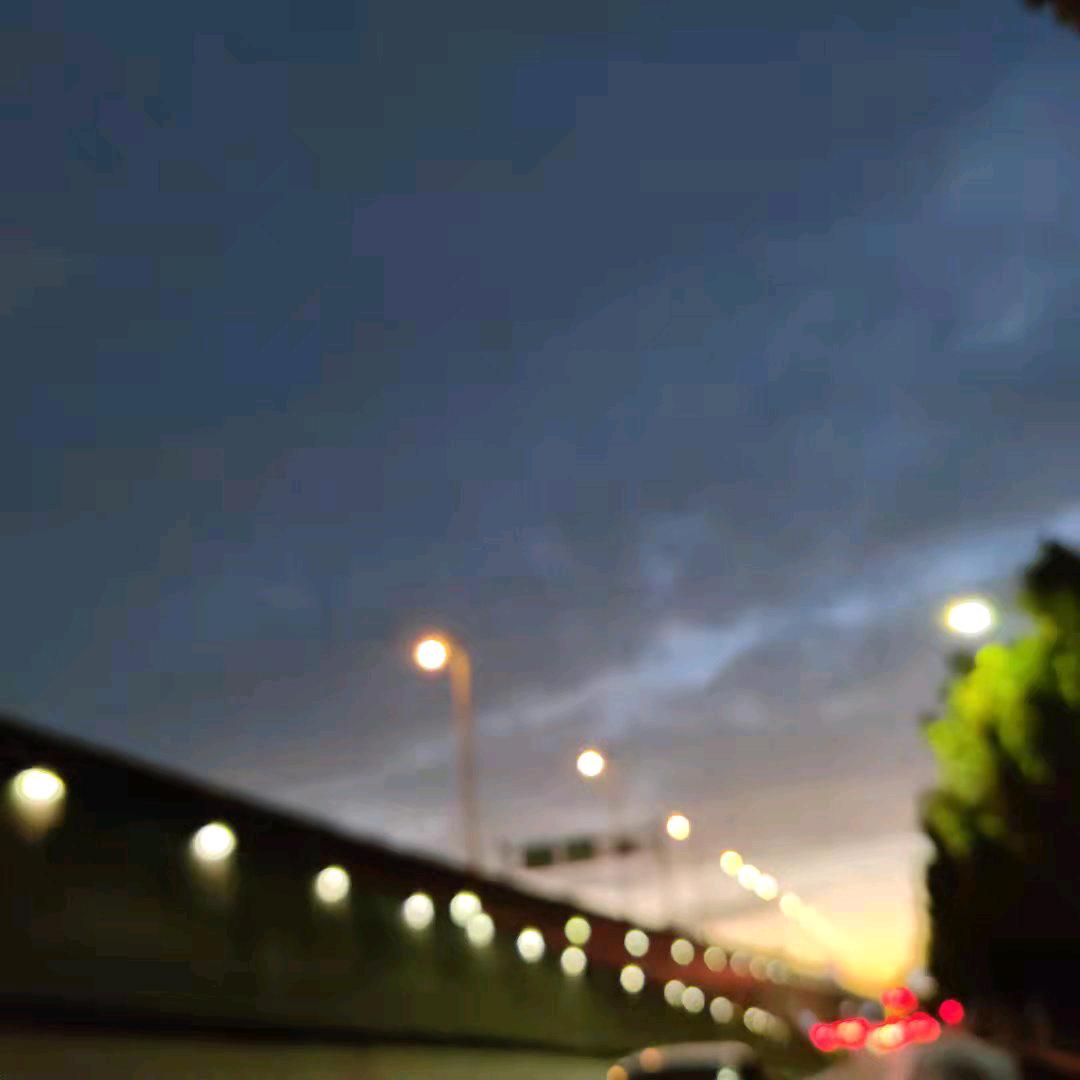 Fly in the sky