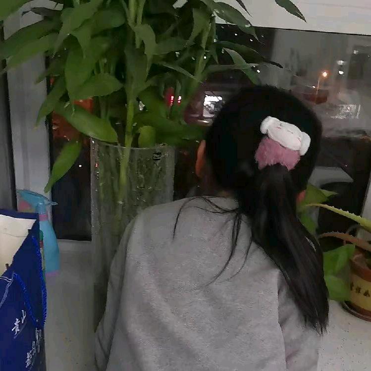 娜姐