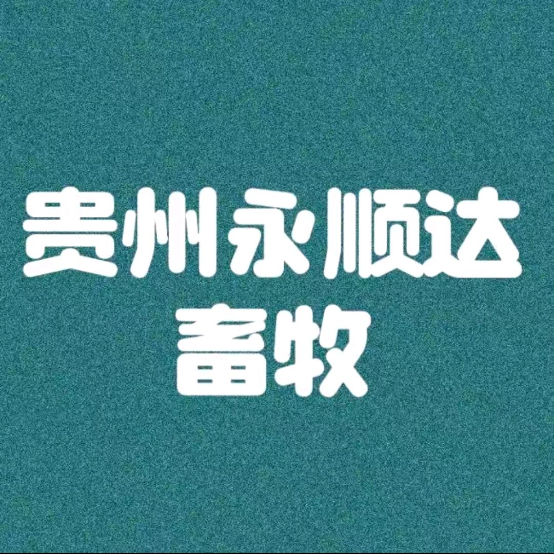 贵州永顺达小饶