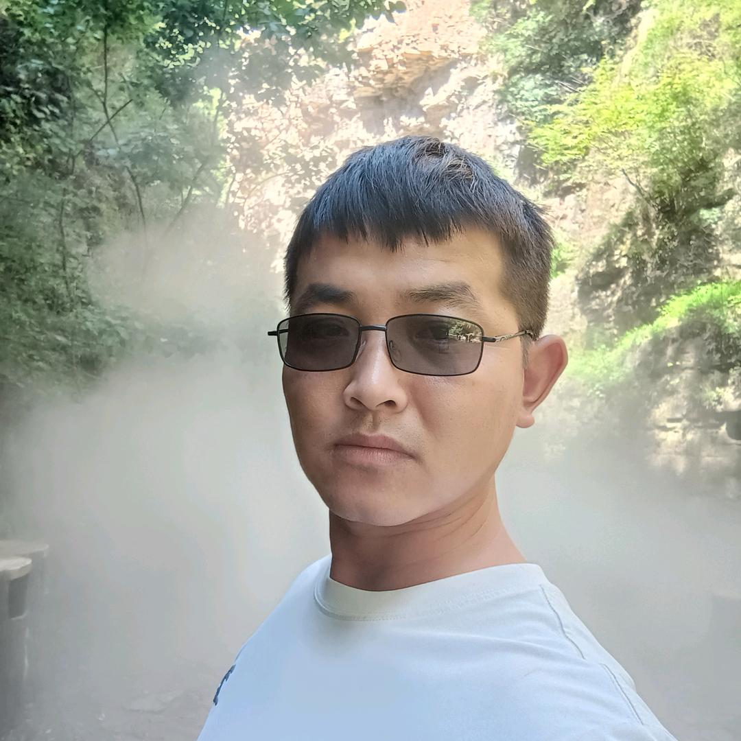 王尧京专业粉树墩