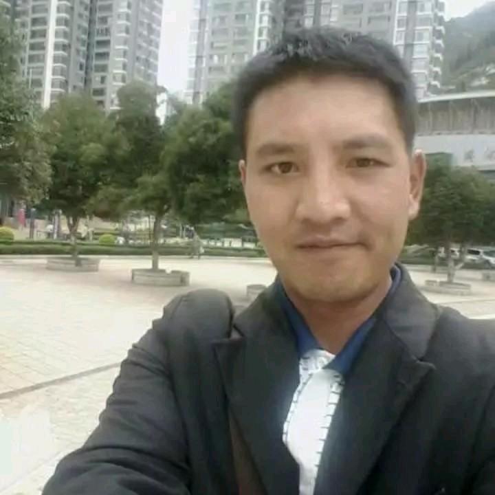 普洱茶酒个蒙总代（懂陌）